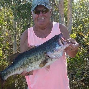 Meet your Posher, Tammy